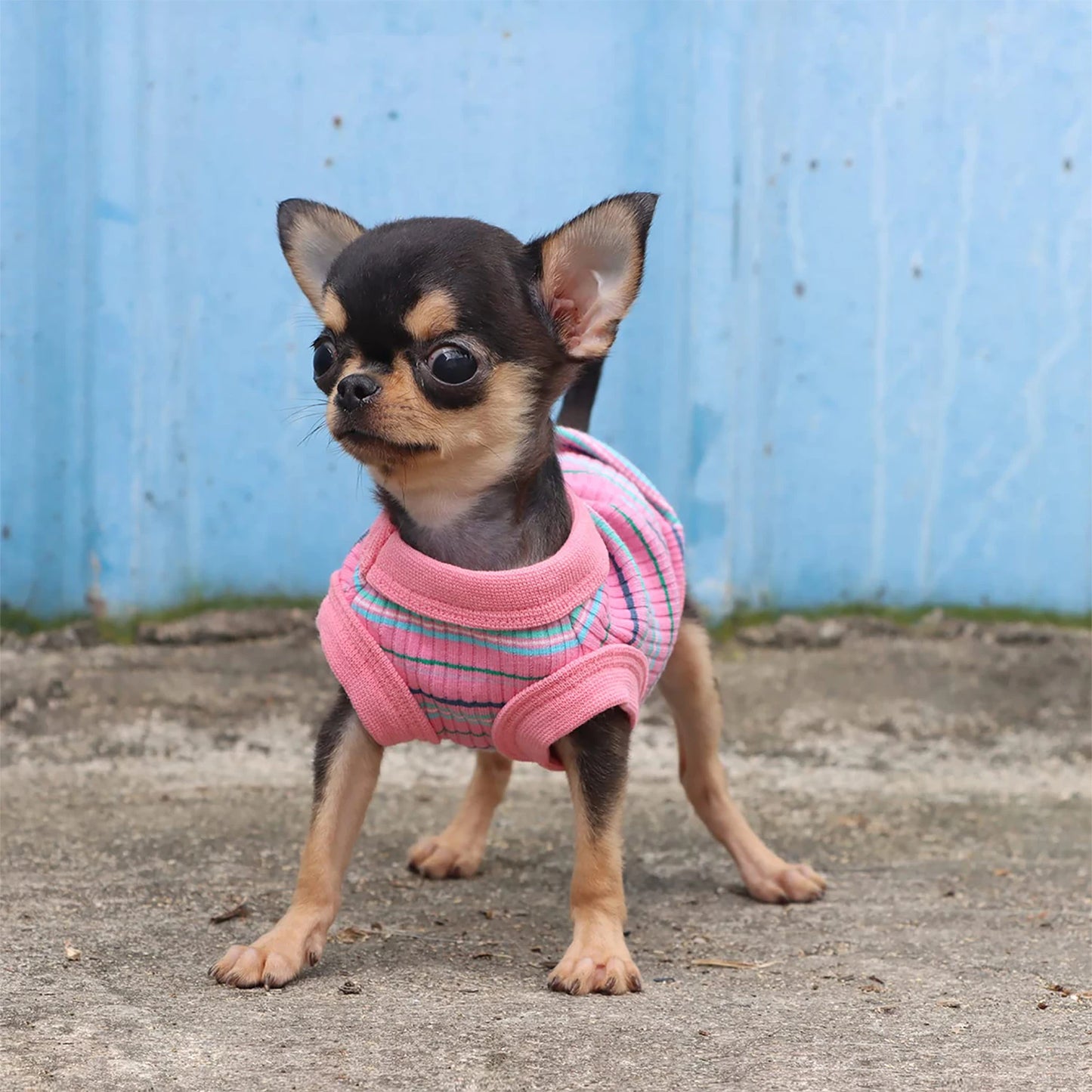 Pink Rib Dog Shirt Vest for Small Dogs & Puppies
