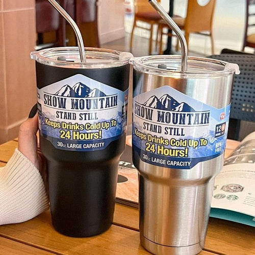 Stainless Steel Vacuum Insulated Tumbler with Straw