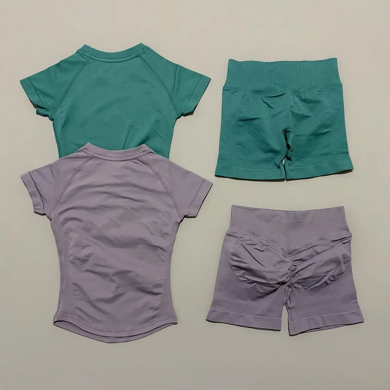 2 Piece Seamless Yoga Top and Shorts Set