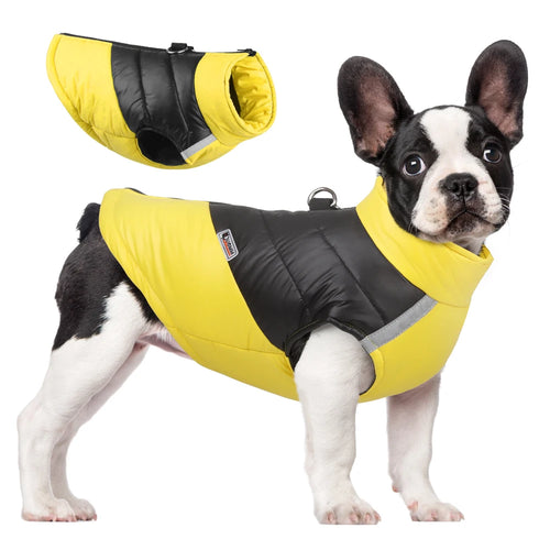 Waterproof Warm Winter Dog Cotton Jacket for Small & Large Dogs