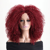 WIG-T018B