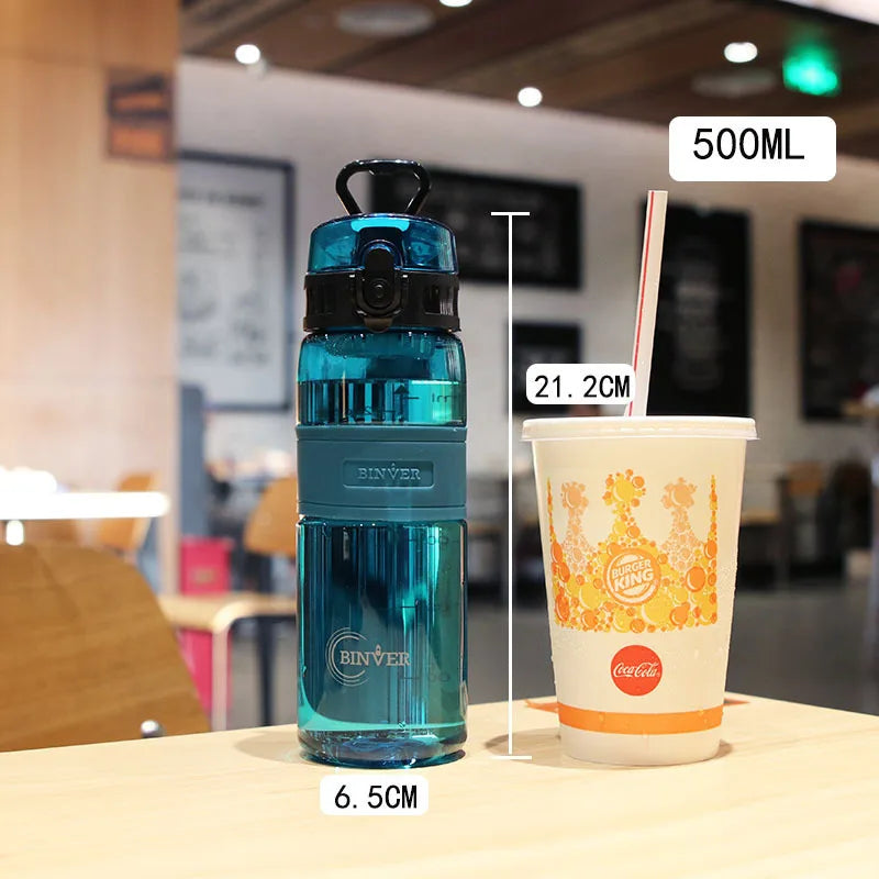 500ml Leak Proof Sports Water Bottle with Tea Filter