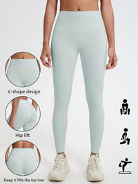Light Gray