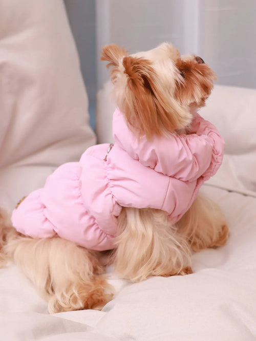 3 Layer Warm Dog Jacket for Small & Medium Dogs Autumn Winter